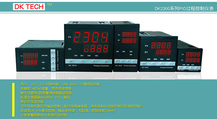 DK2306 heating, refrigeration, power on alarm, slow start temperature control instrument